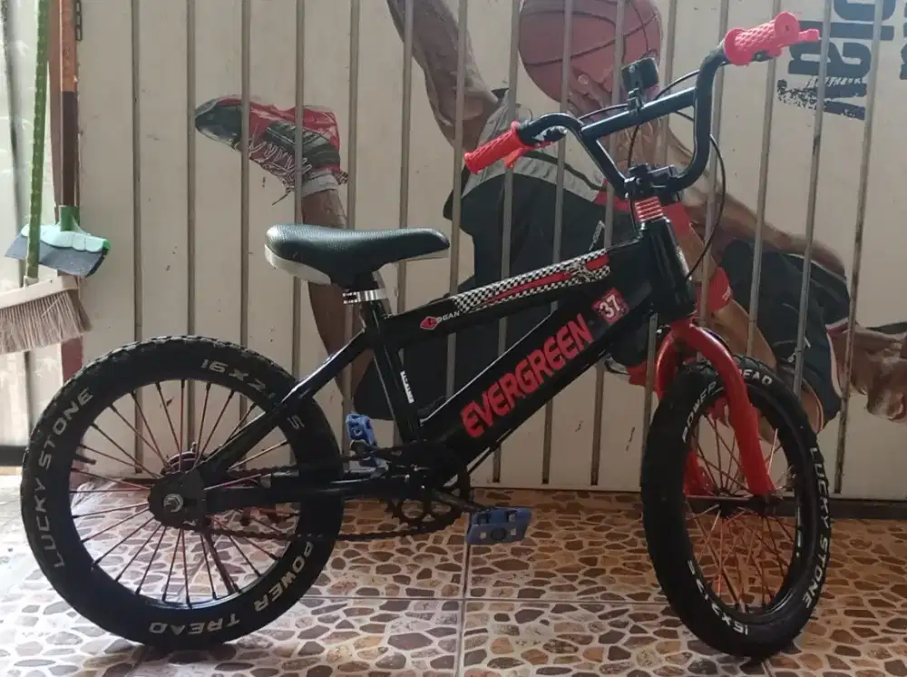 SEPEDA ANAK Evergreen