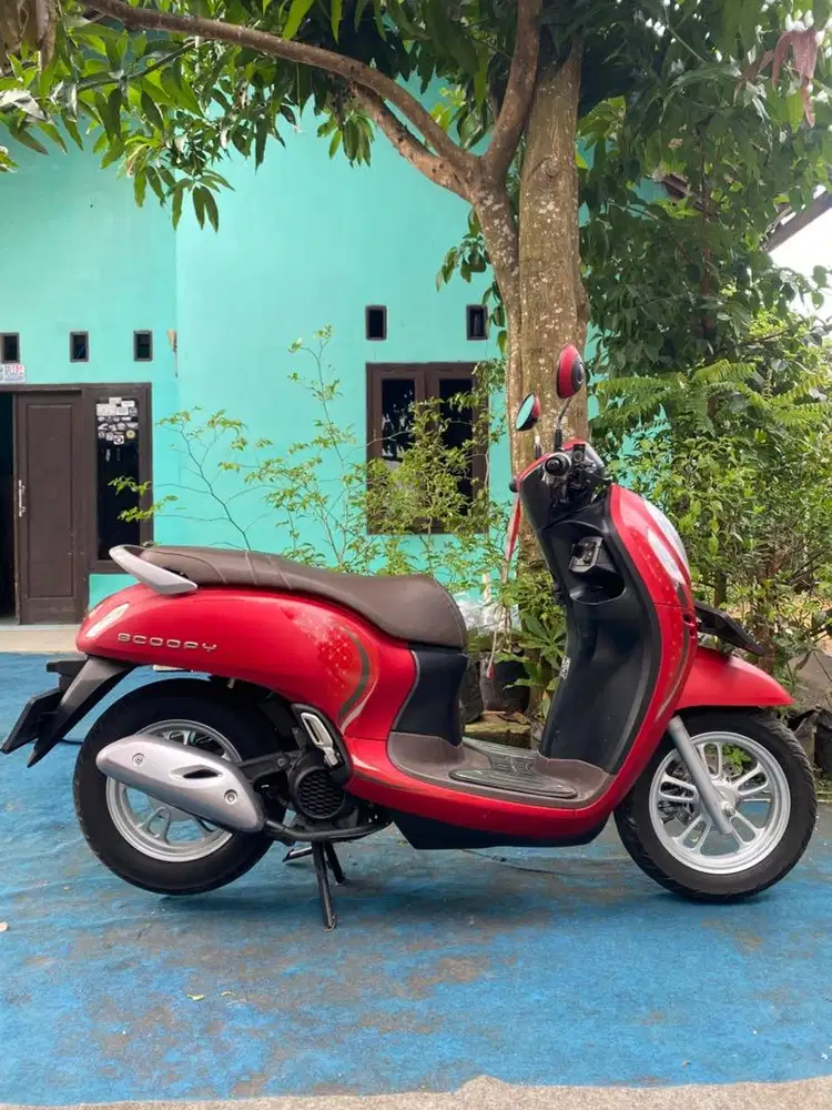 HONDA SCOOPY 2024