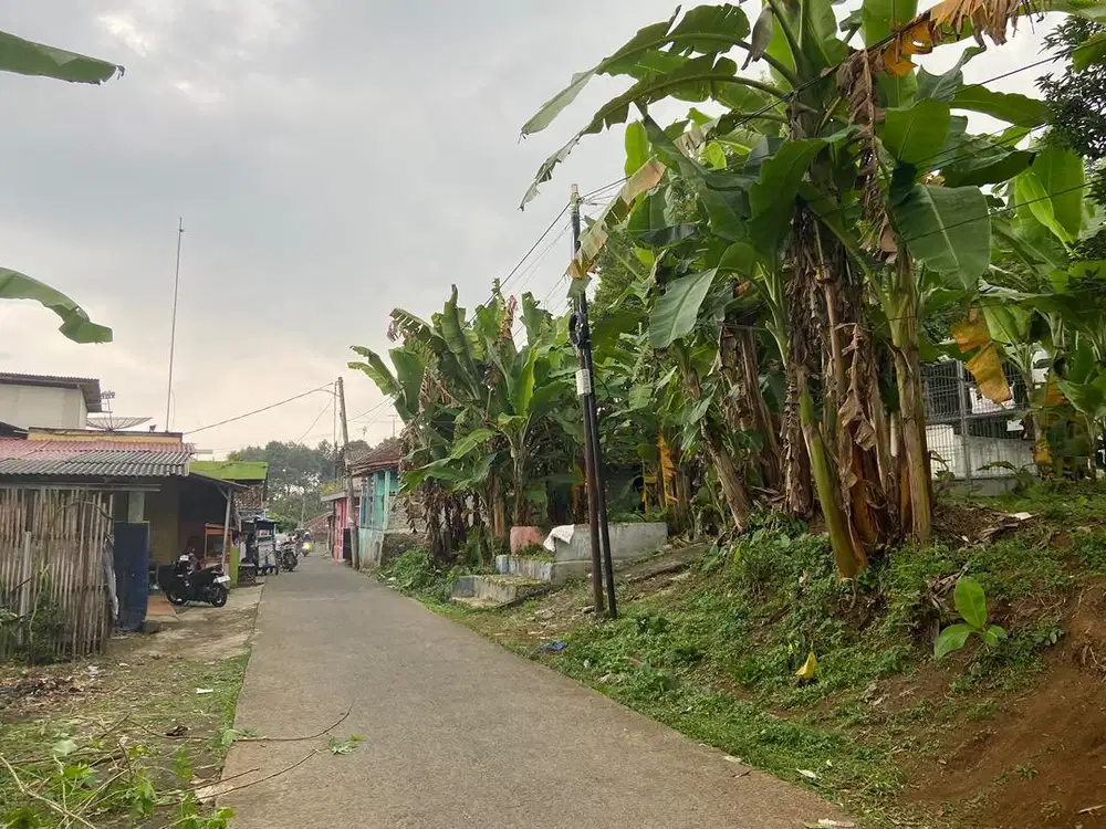 Tanah + Tower BTS Aktif, Lokasi Strategis & Menguntungkan