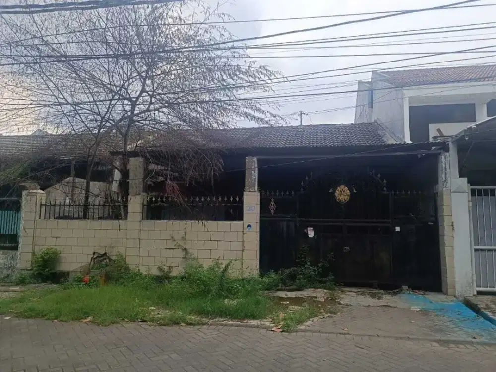 Dijual Rumah Hitung Tanah Murah Cuma 8jtan Permeter Lokasi Kutisari