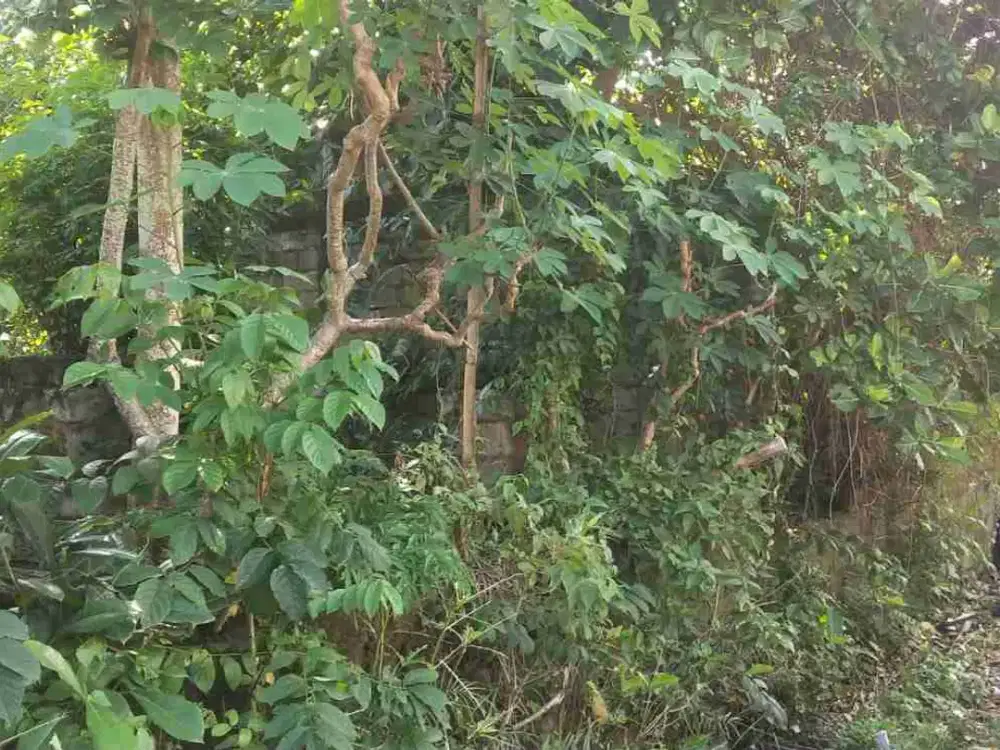 djual tanah 4,13 are dibalangan jimbaran Kuta Selatan Badung Bali