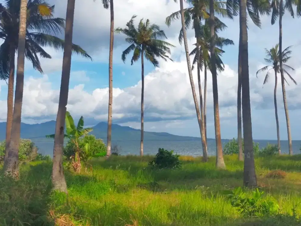 Dijual Tanah Nol Jalan Provinsi & Nol Pantai – Tengah Kota Tanjung, Banyuwangi