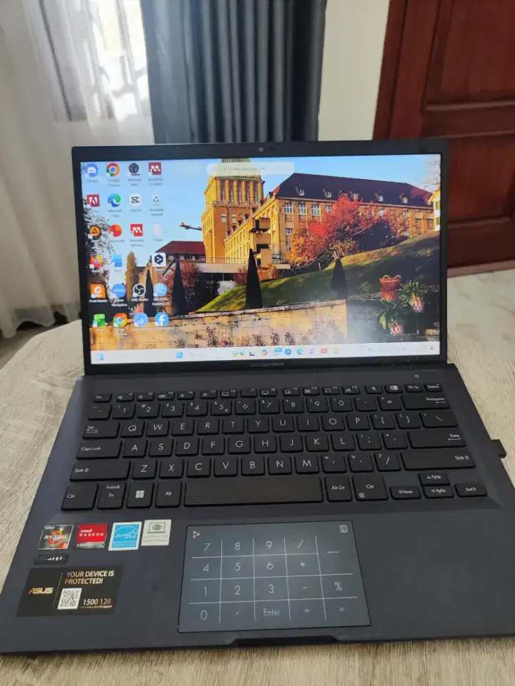 Laptop Asus Expertbook Ryzen 3