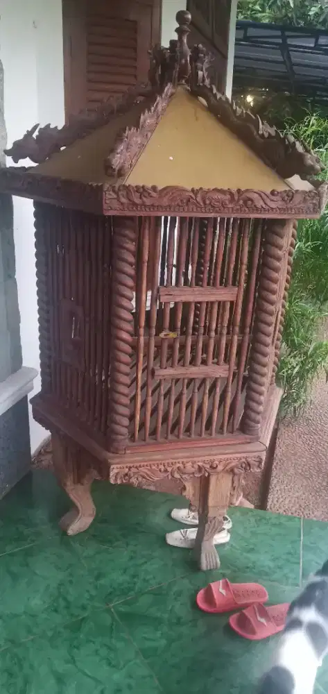 Kandang ayam bekisar full kayu jati tua