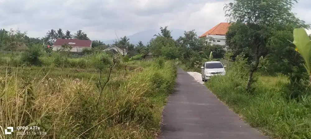 Dijual Tanah Sawah View Merapi Paling Murah Di Jalan Palagan KM 12