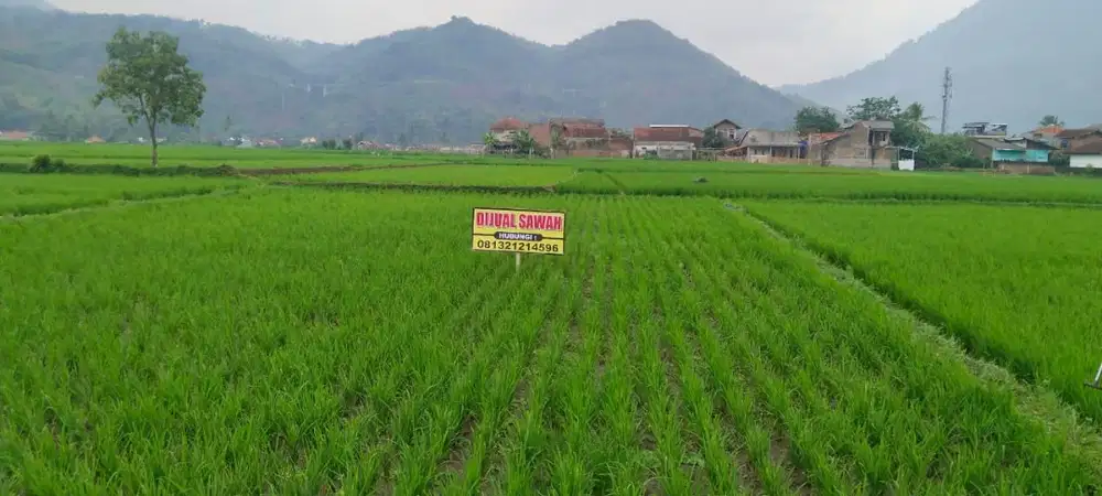 Dijual Tanah Sawah