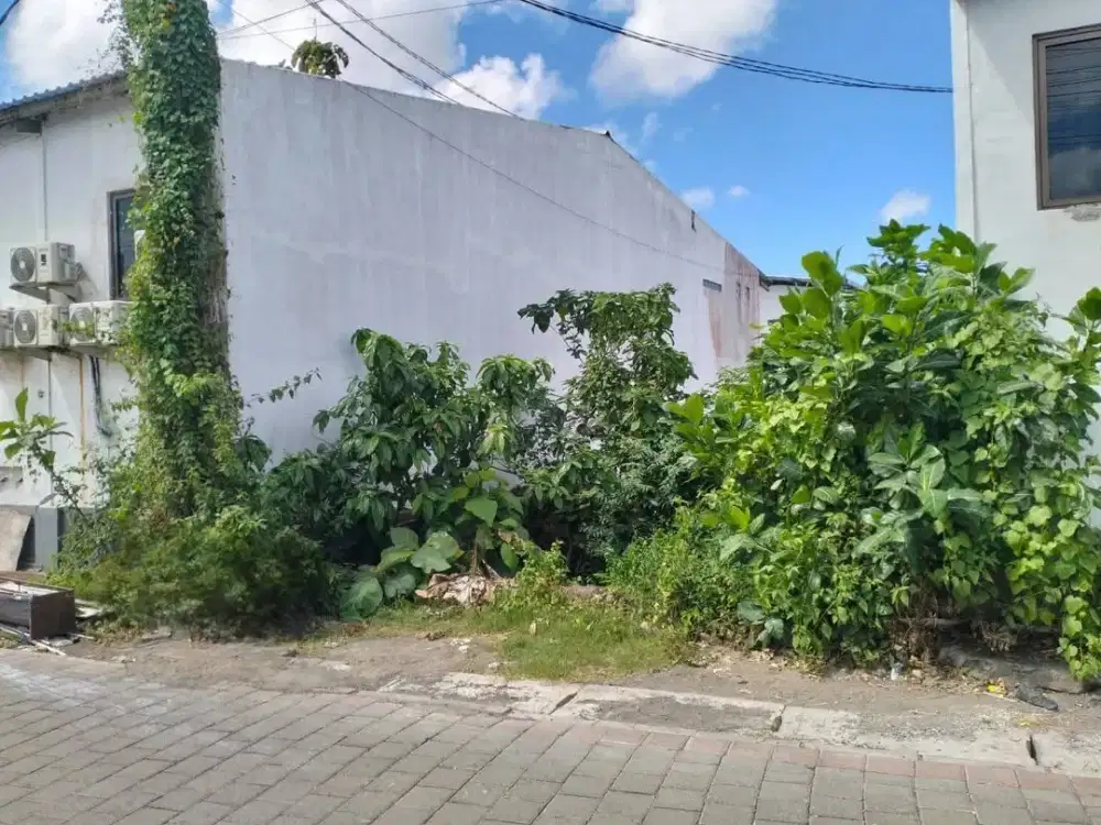 DIJUAL TANAH DEKAT KAMPUS UNUD – LOKASI SUPER STRATEGIS & COCOK INVESTASI! ( RB )