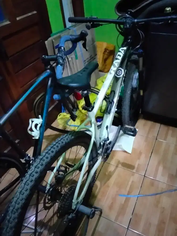 Sepeda Poligon Xtrada