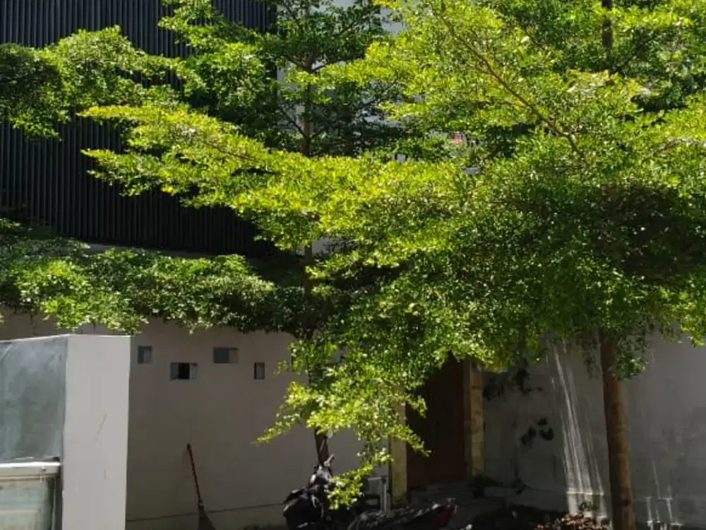 BUC FREEHOLD VILLA COMPLEX – SUBAK SARI CANGGU ( RBN )