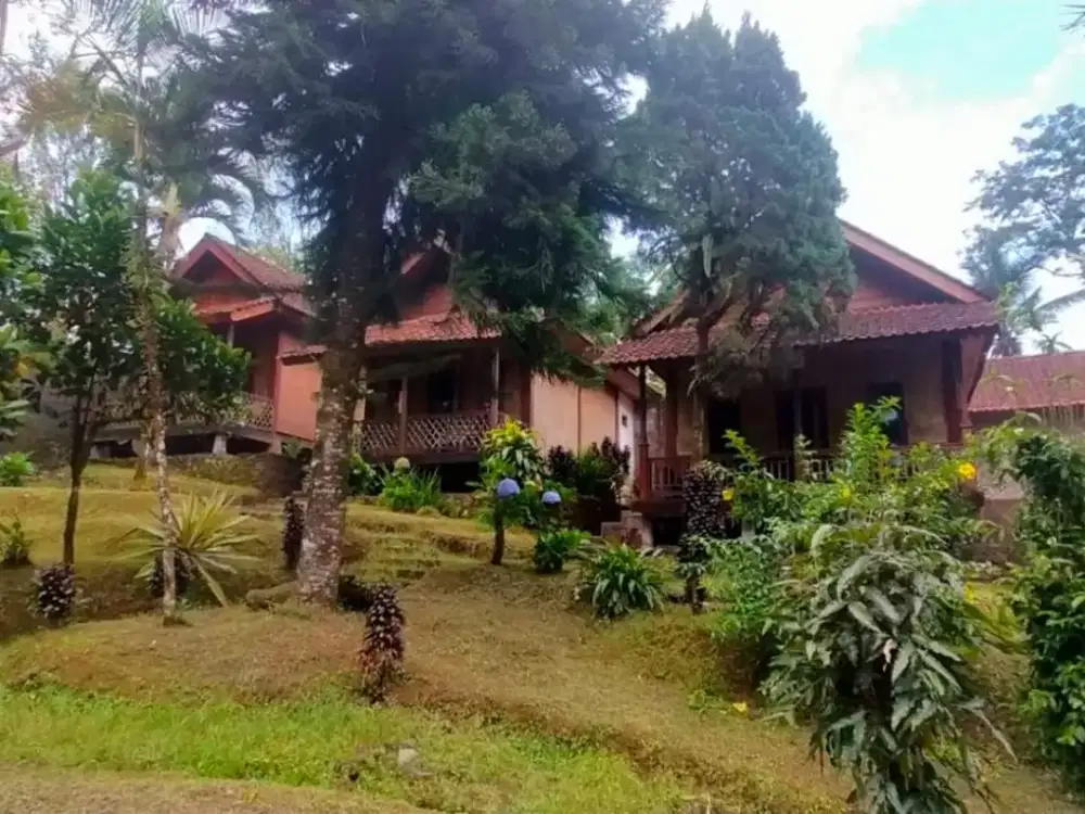 Guest House & Resto – Jambu-Licin, Banyuwangi