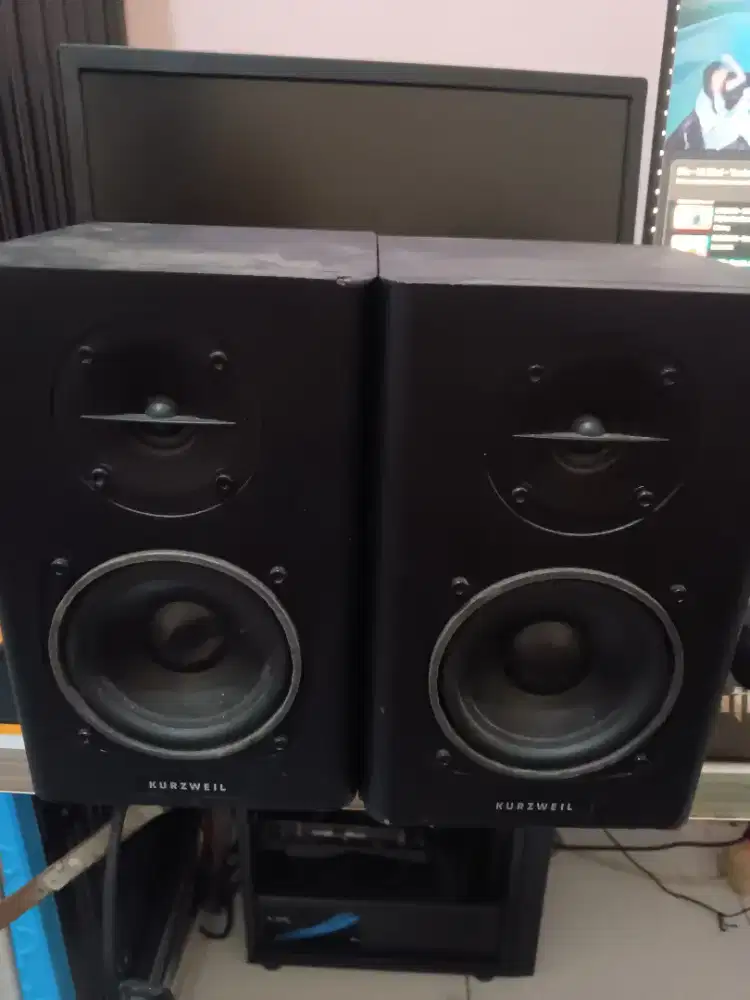 SPEAKER FLAT KURZWEIL MULUS