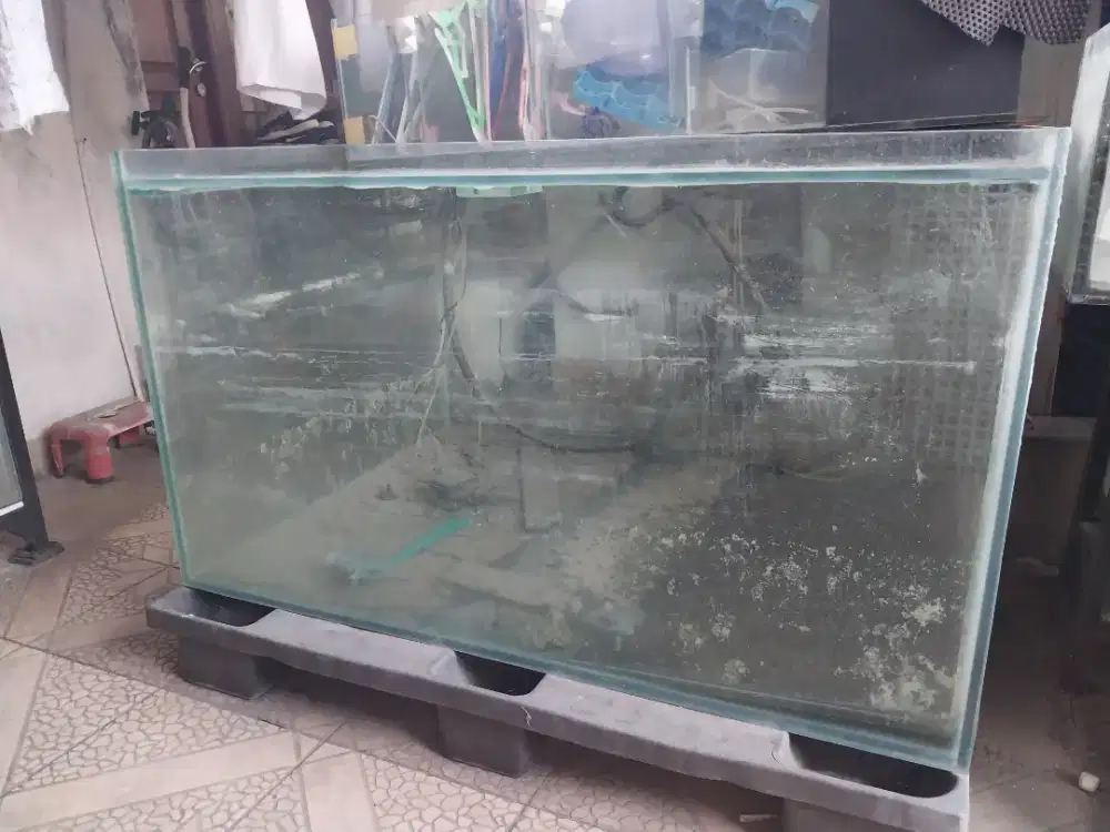 Aquarium Jumbo Tank utk ikan Predator dan lainnya