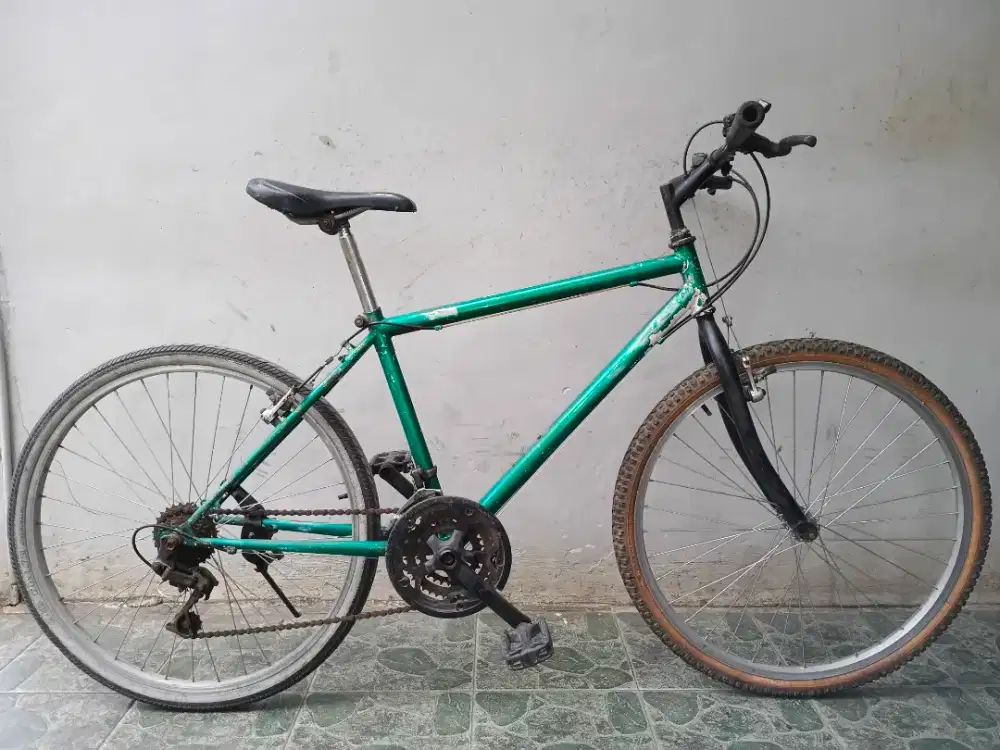 Federal insera rims 26 lancar