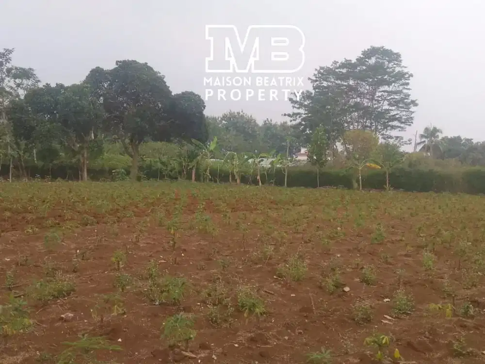 DIJUAL TANAH PINGGIR JALAN COCOK UNTUK MINI CLUSTER / TOWNHOUSE DLL DI CISEENG, KAB. BOGOR - JAWA BARAT