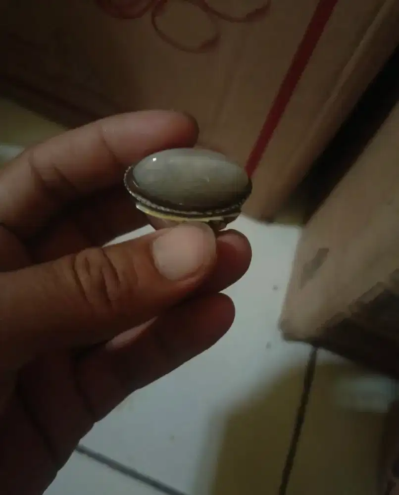 Pandan kapas semu sisik betik