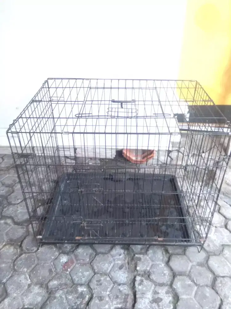 Jual kandang kucing
