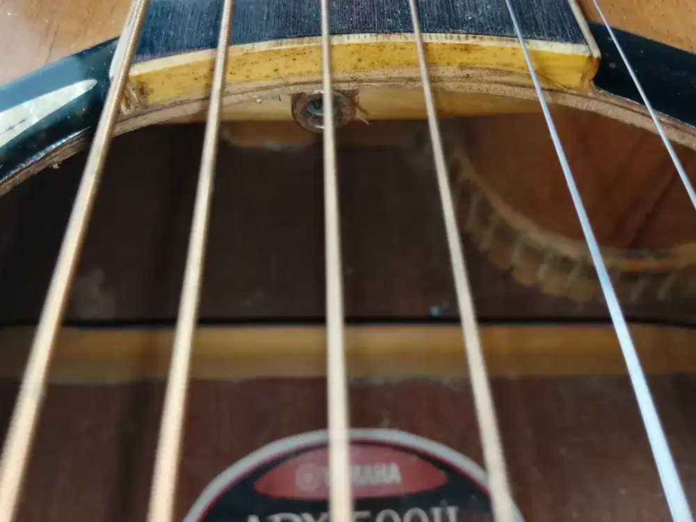 Gitar akustik  apx500II COSTOM