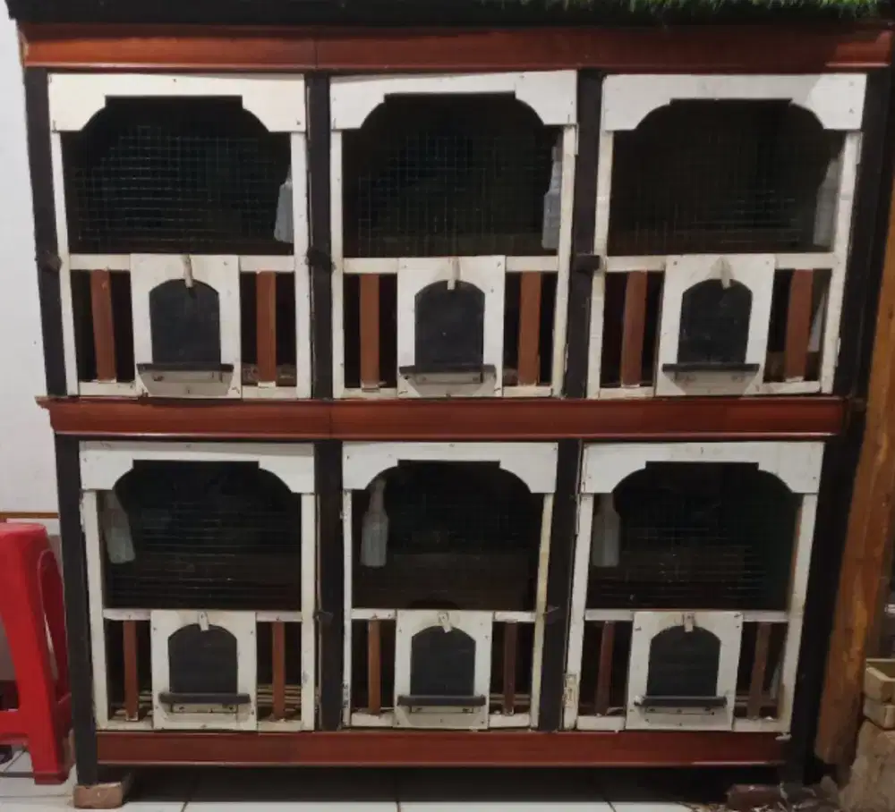 Kandang merpati beserta gupon d dalamnya