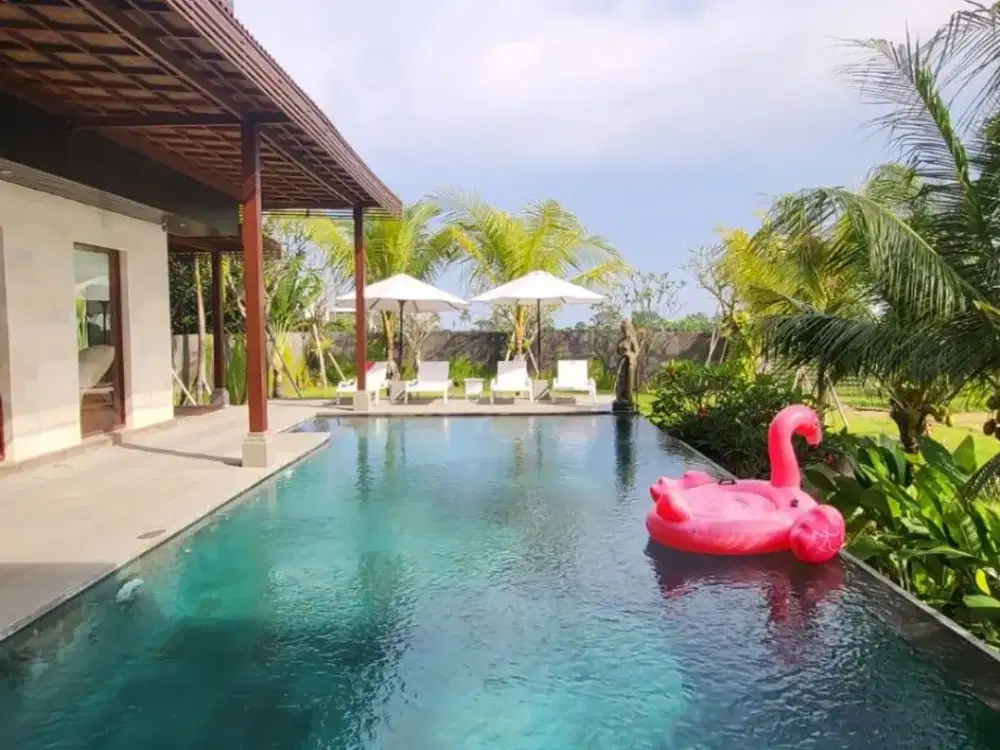 Villa View Sawah Cemagi Mengwi Badung Bali