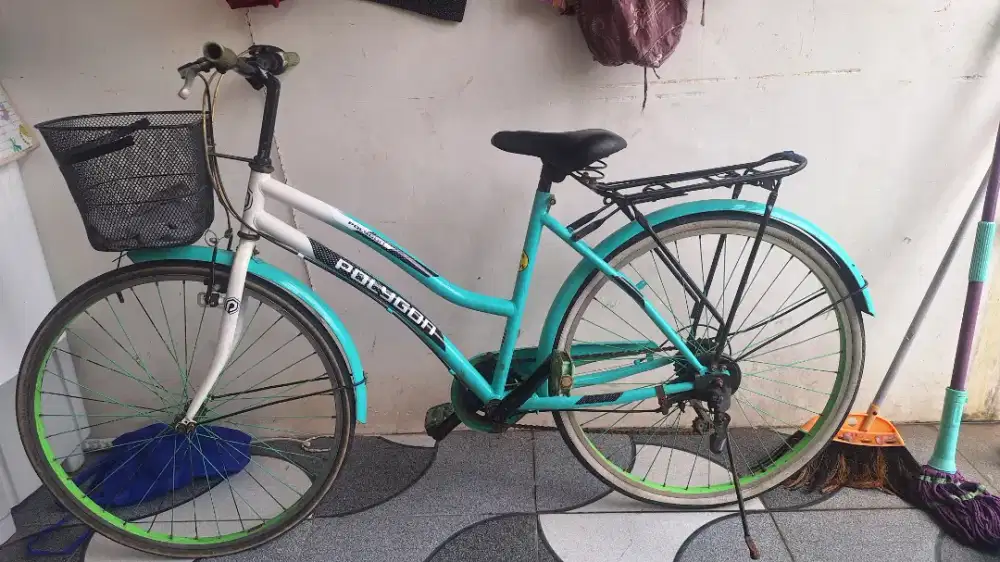 Sepeda wanita dewasa