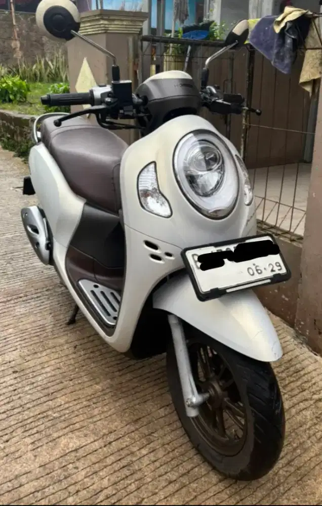Honda scoopy 2024