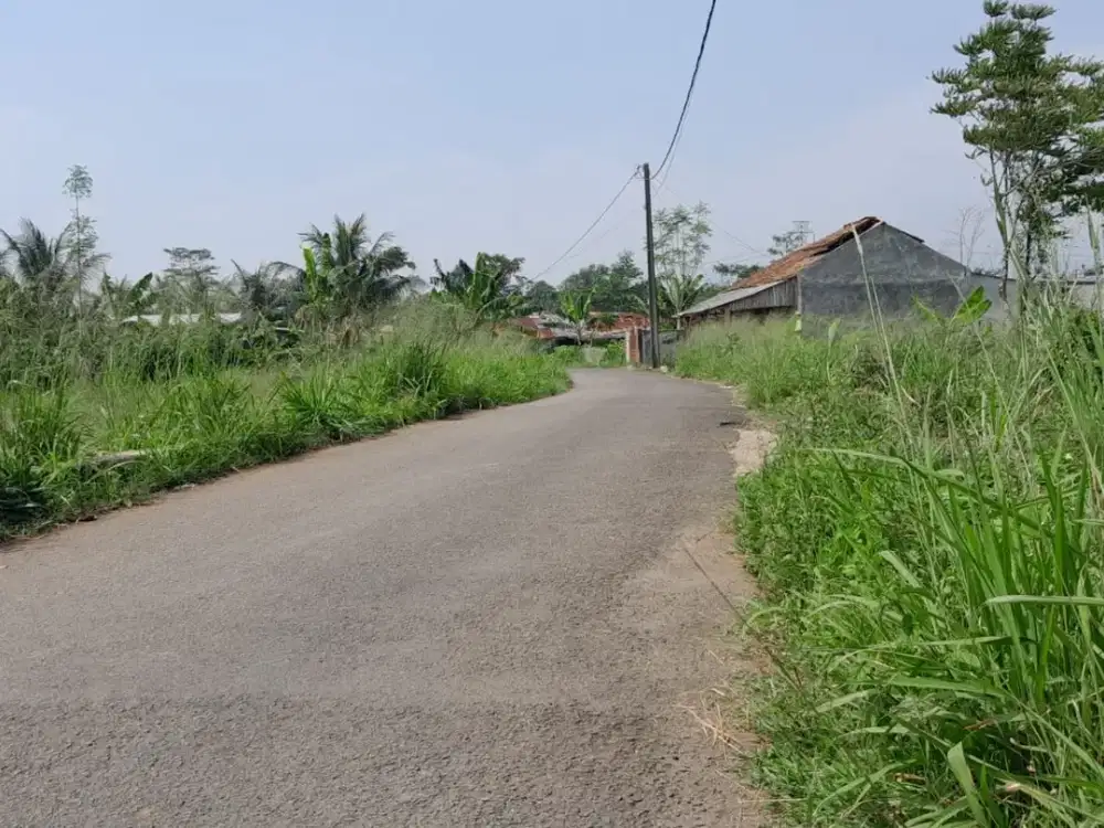 Kavling Nuansa Alam Dekat Stasiun Cigombong