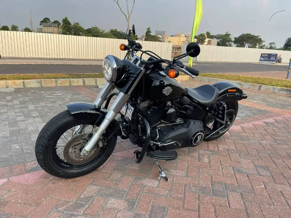 SOFTAIL SLIM 2014
