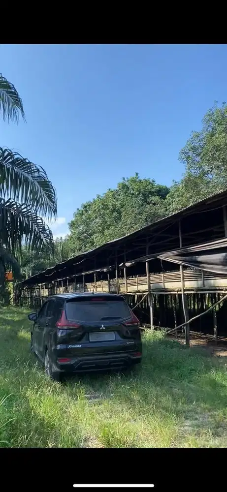 Dijual kapasitas 6000 ekor