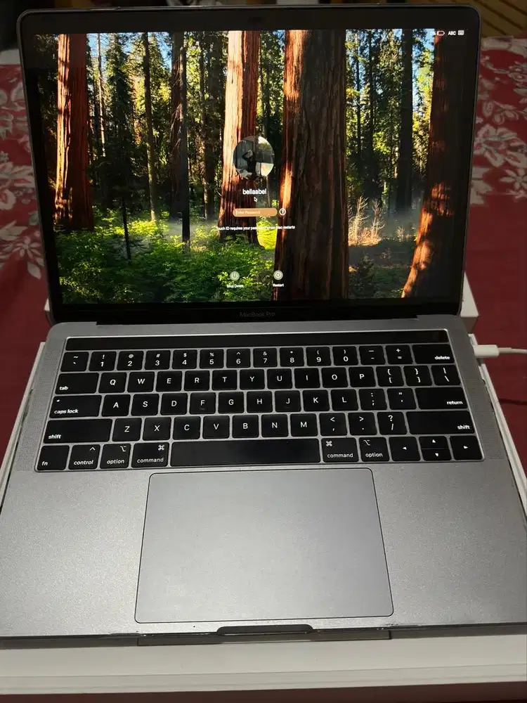 Macbook pro 2018 8/256Gb