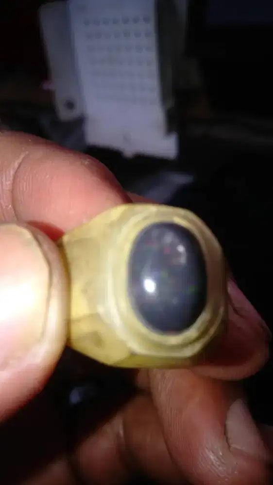 Kalimaya kopi banten