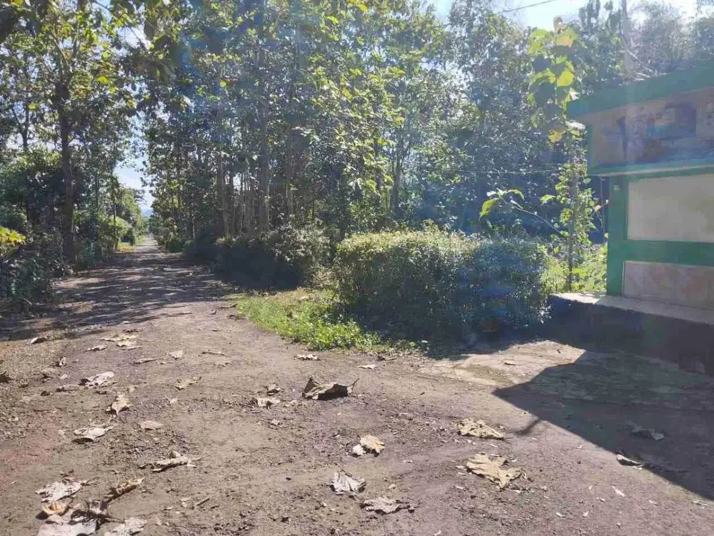 Tanah pekarangan murah 1.440m² hook (2 muka) , muka utama 35m Akses jalan 5m, 5 menit selatan pasar Mento wonoharjo wonogiri