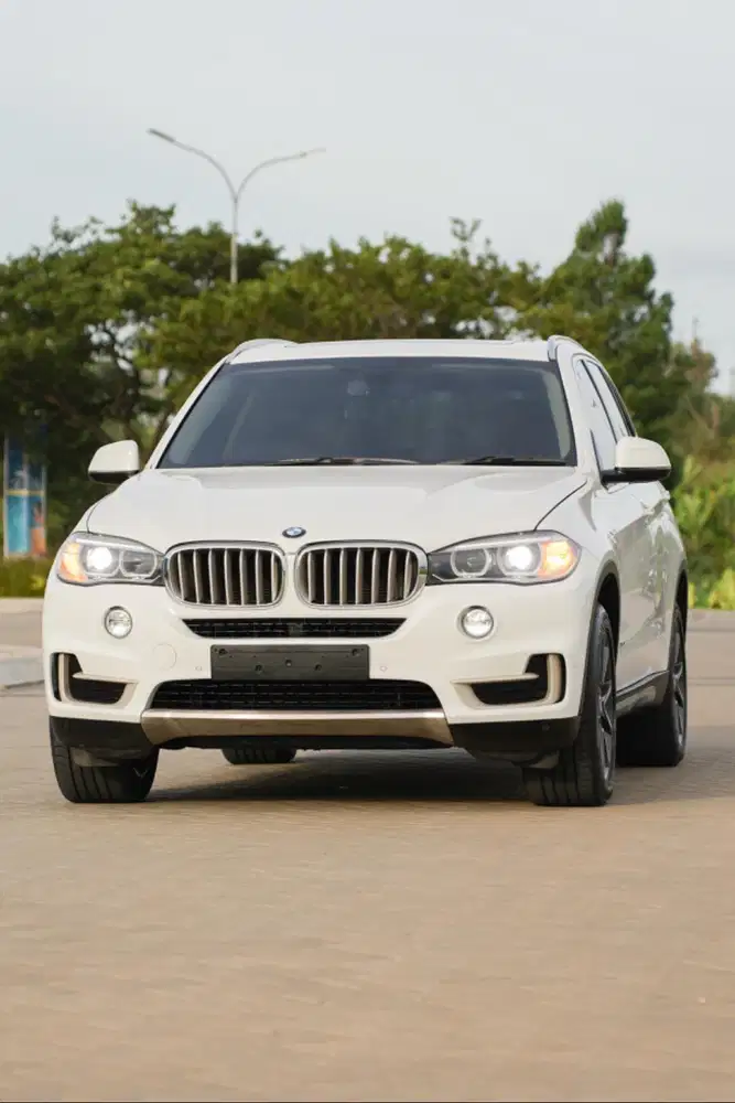 BMW X5 xDrive35i xLine 2014