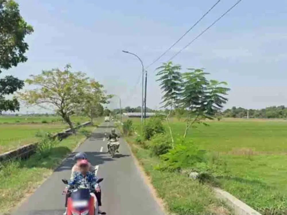 Dijual sawah murah disukorejo wonosari klaten