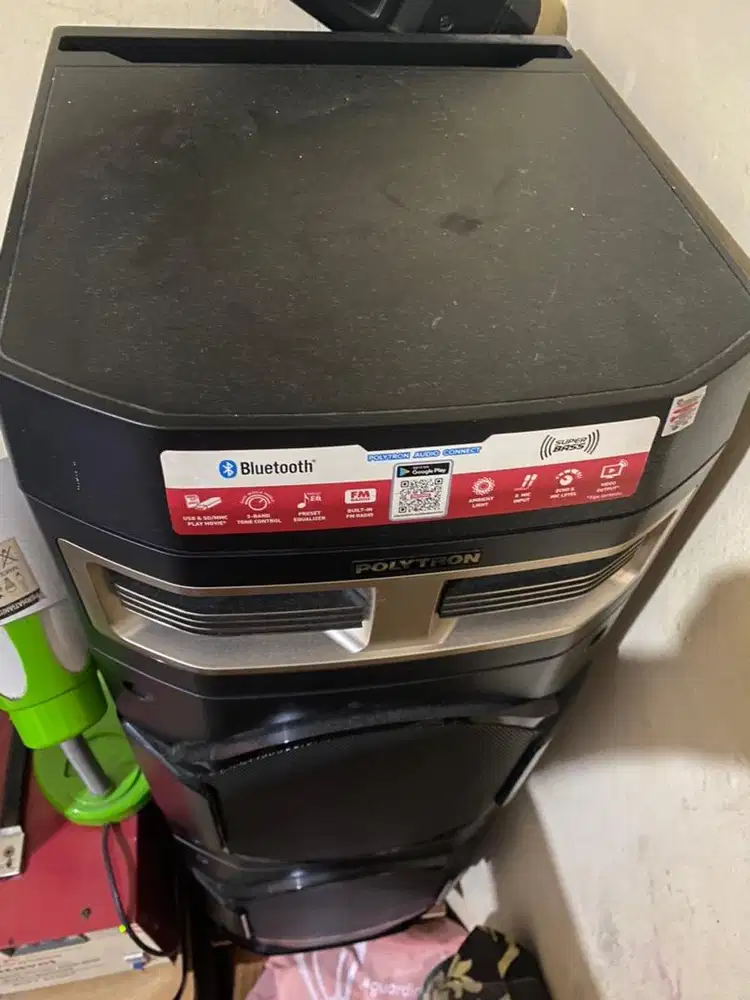 Speaker Active Polytron PAS10DF28