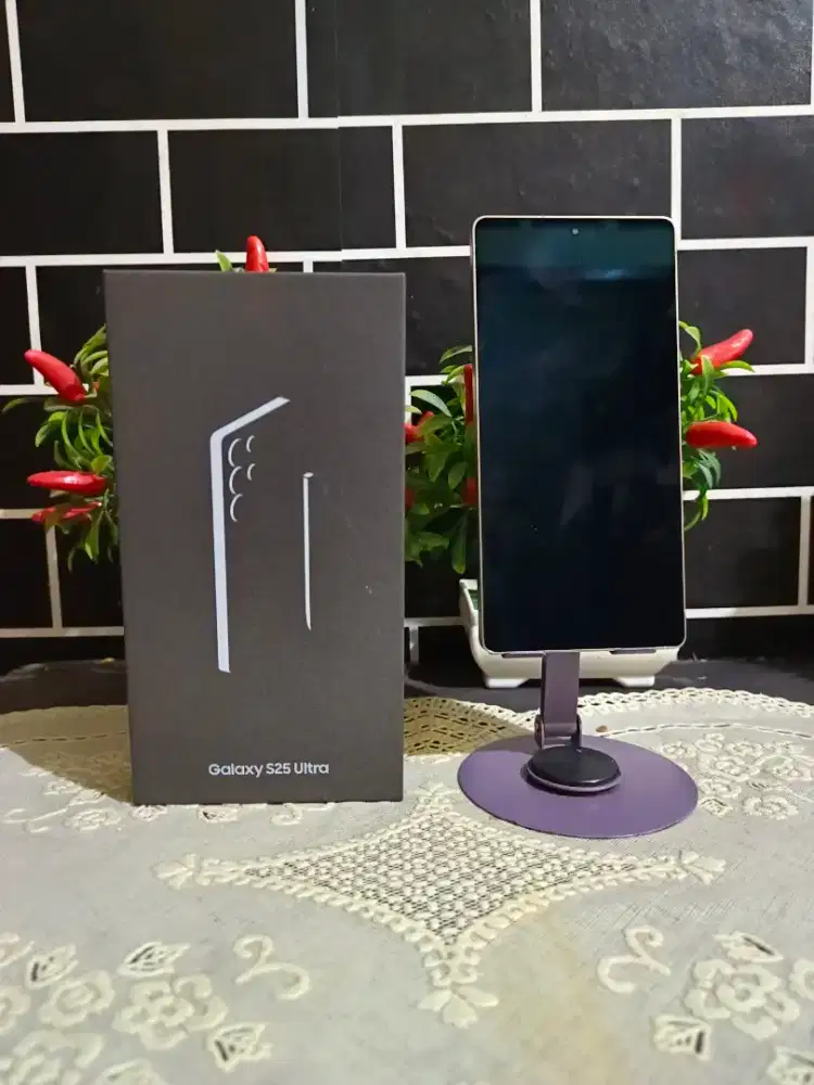 Samsung s25 ultra 12/256