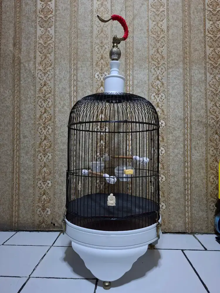 Kandang burung kenari