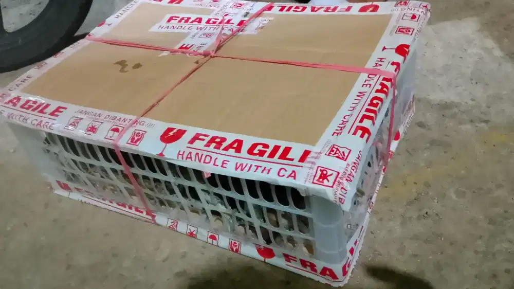 Burung tekukur kuk 3 sandung 2