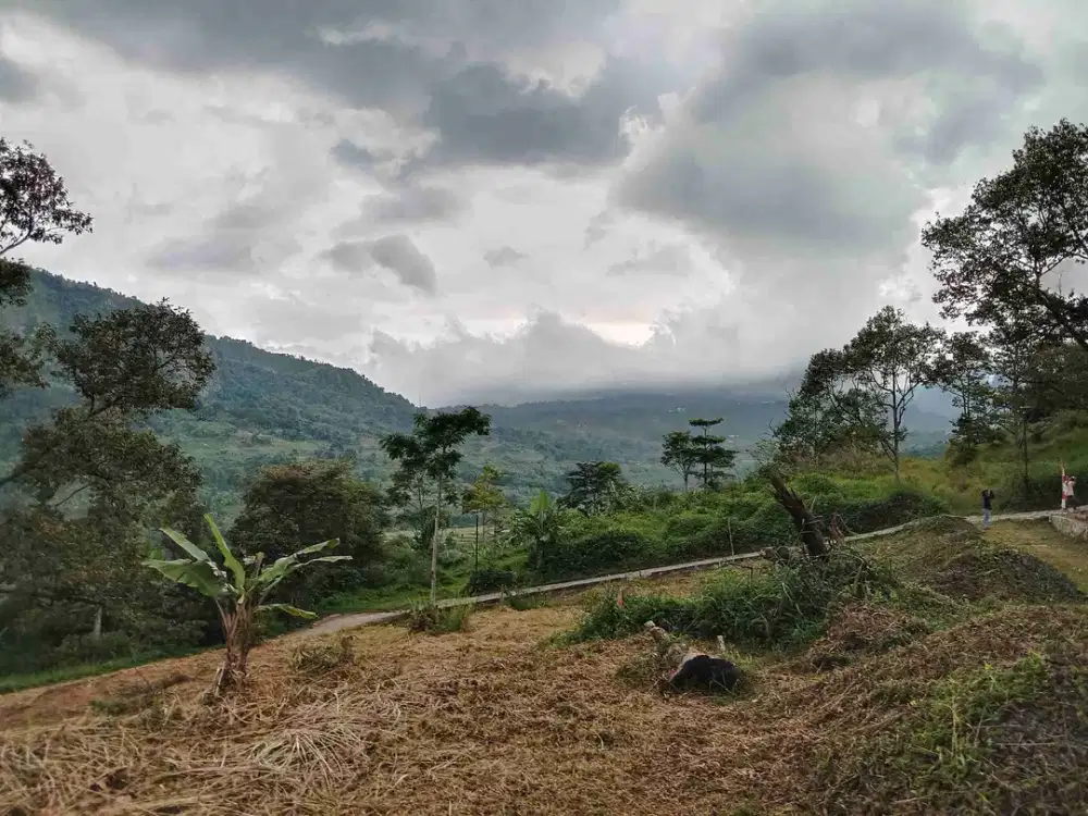 Kavling murah puncak 2 Bogor bisa bangun villa harga pree launching