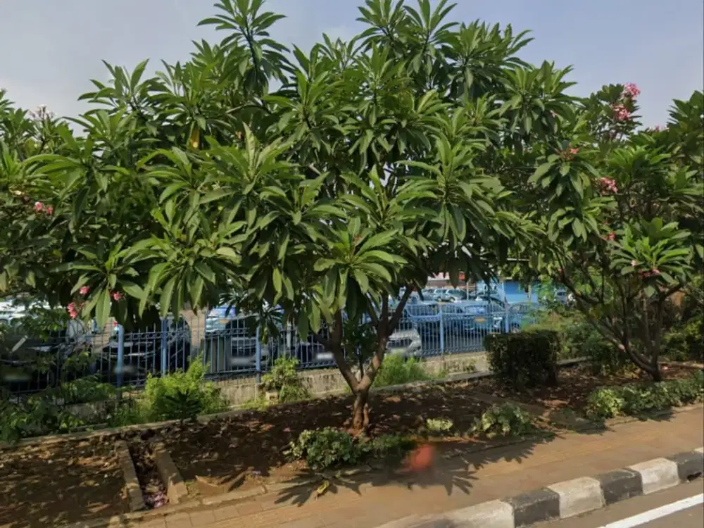 Tanah Halim Perdanakusuma 6112m, diapit kawasan gedung perkantoran, sangat strategis