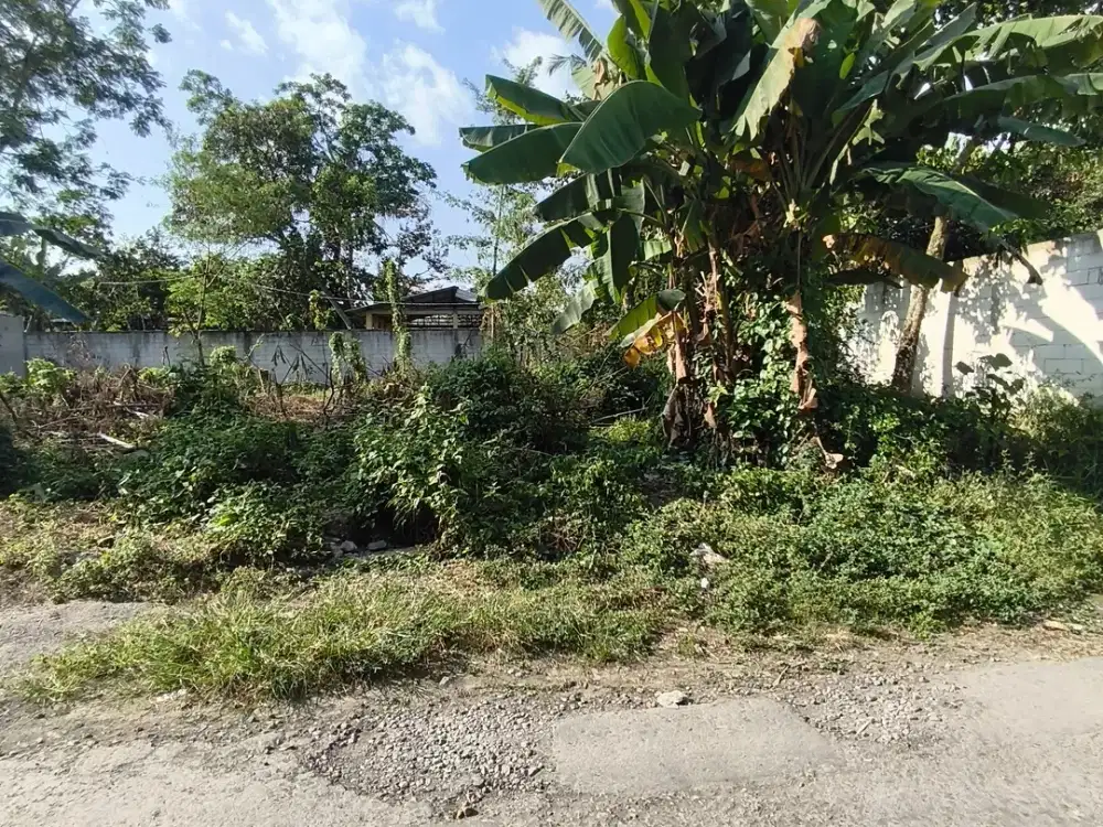 Tanah Pekarangan Murah dijual cepat SHM Ready Area Kaliurang km.10