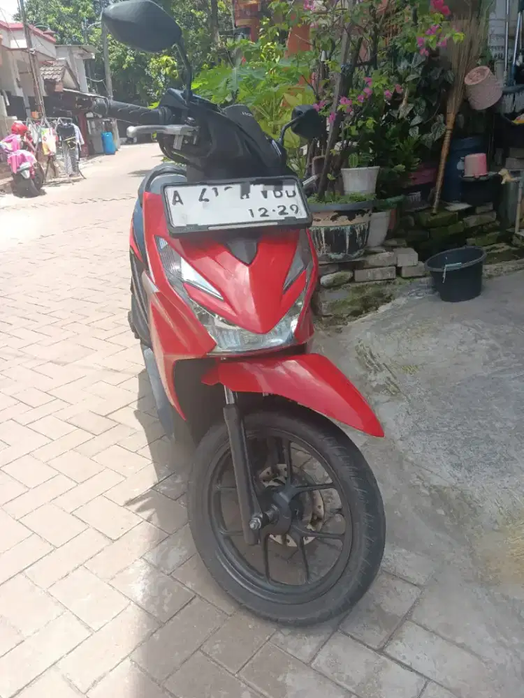 Beat 2024 Sporty Cbs