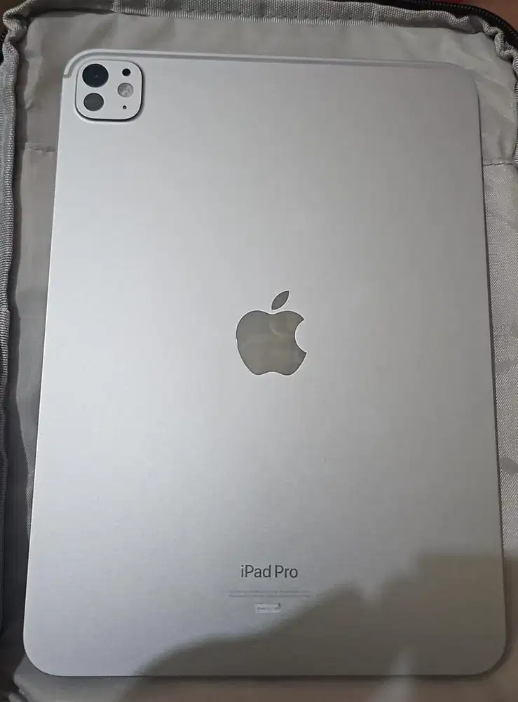 Ipad 11 pro m4 256gb ibox bh100% garansi febuari 2026