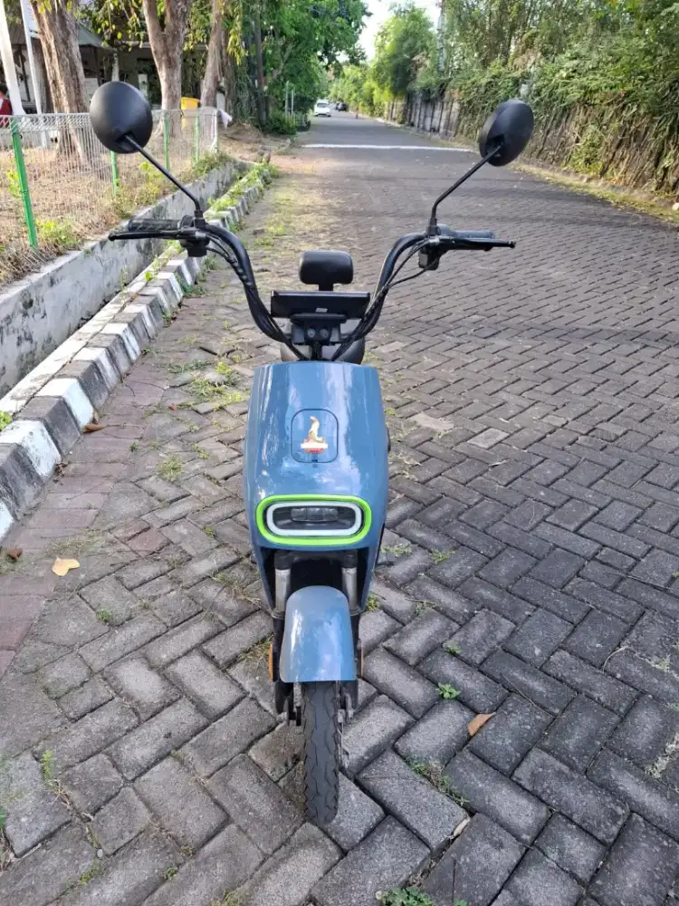 Sepeda Listrik Phoenix