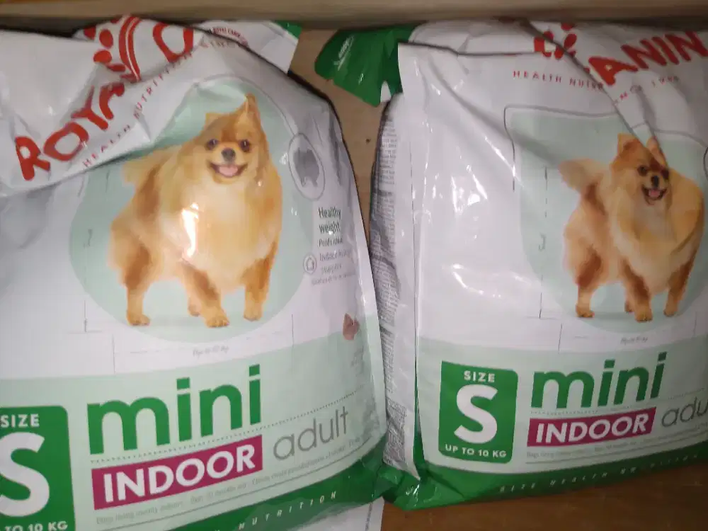 Dog food royal canin mini indoor 6kg