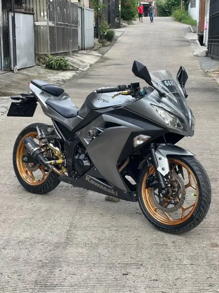 Kawasaki NINJA 250 FI 2014