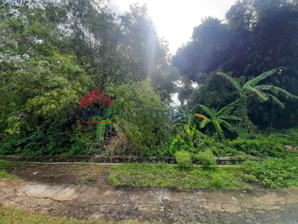 Tanah Dekat Stasiun dan SDIT Al-Misbah Jombang Akses Jalan Raya