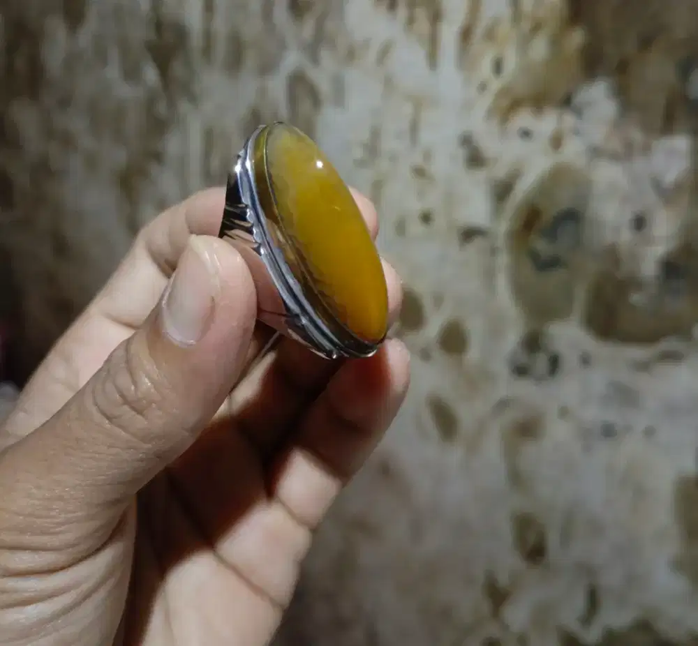 Pandan nasmut/nanas lumut sisik betok