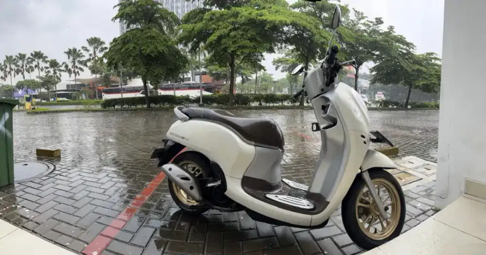 Honda scoopy 2020