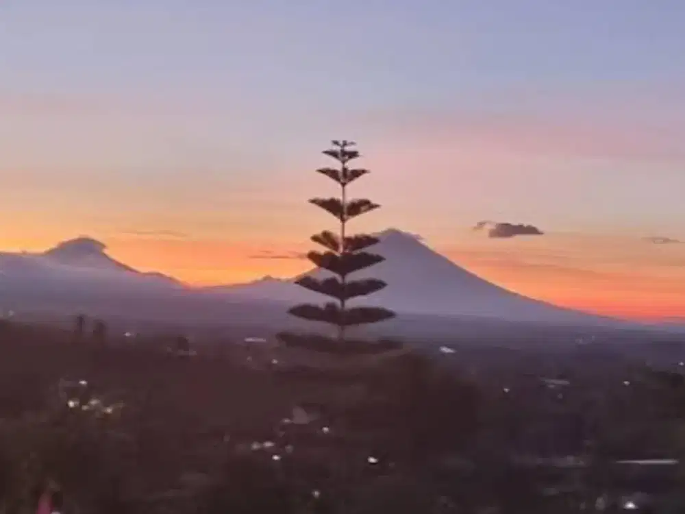 LAHAN PREMIUM UNTUK VILLA/RESORT DI BATURITI – BEDUGUL, BALI