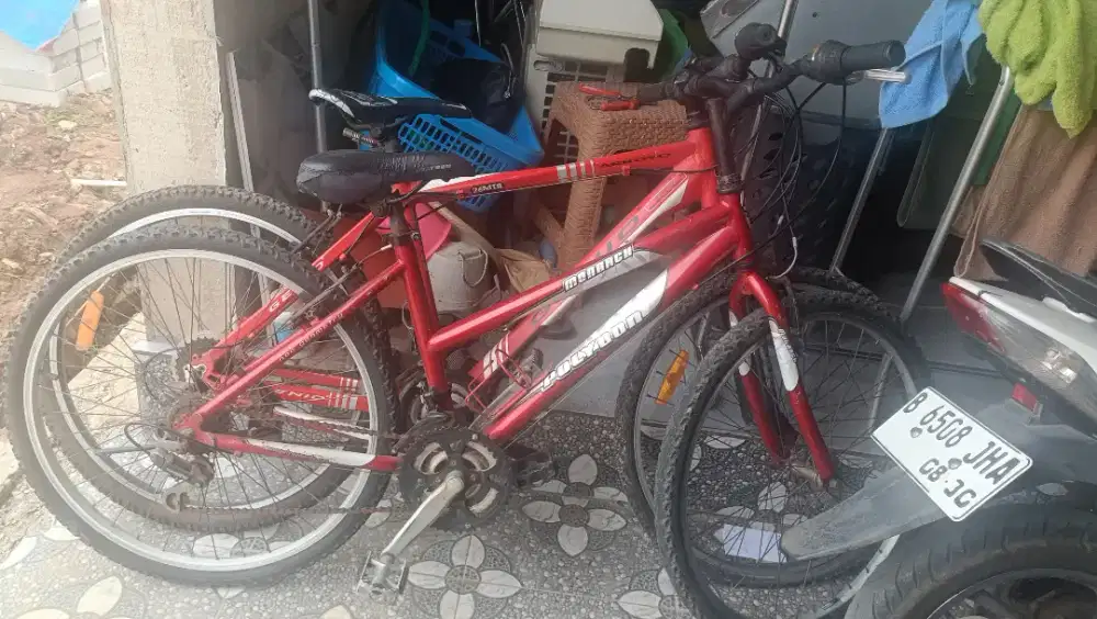 Sepeda merk Genio dan polygon